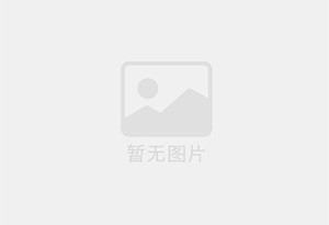 重庆风味豆干及卤鸡翅系列食品